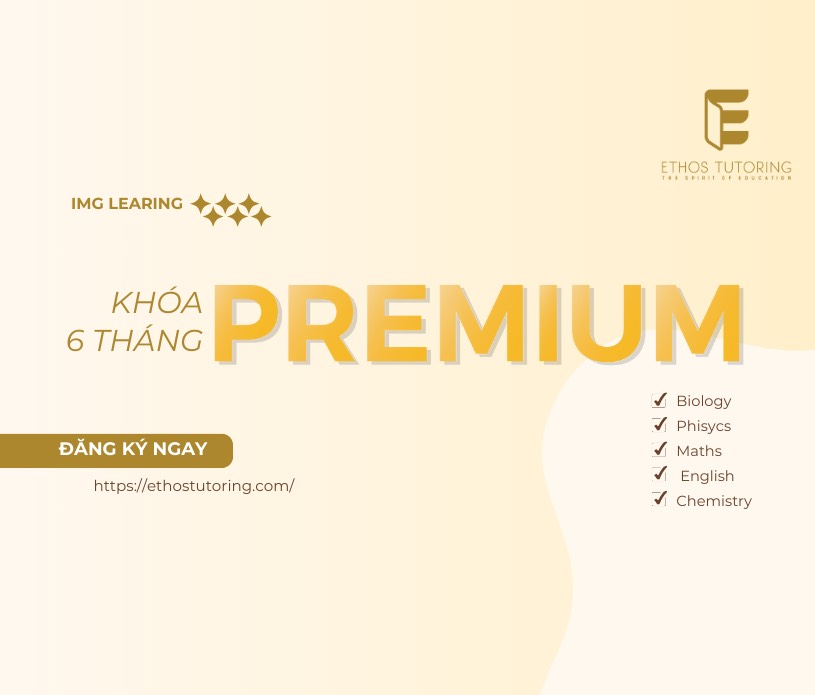 Khóa học 6 tháng Premium